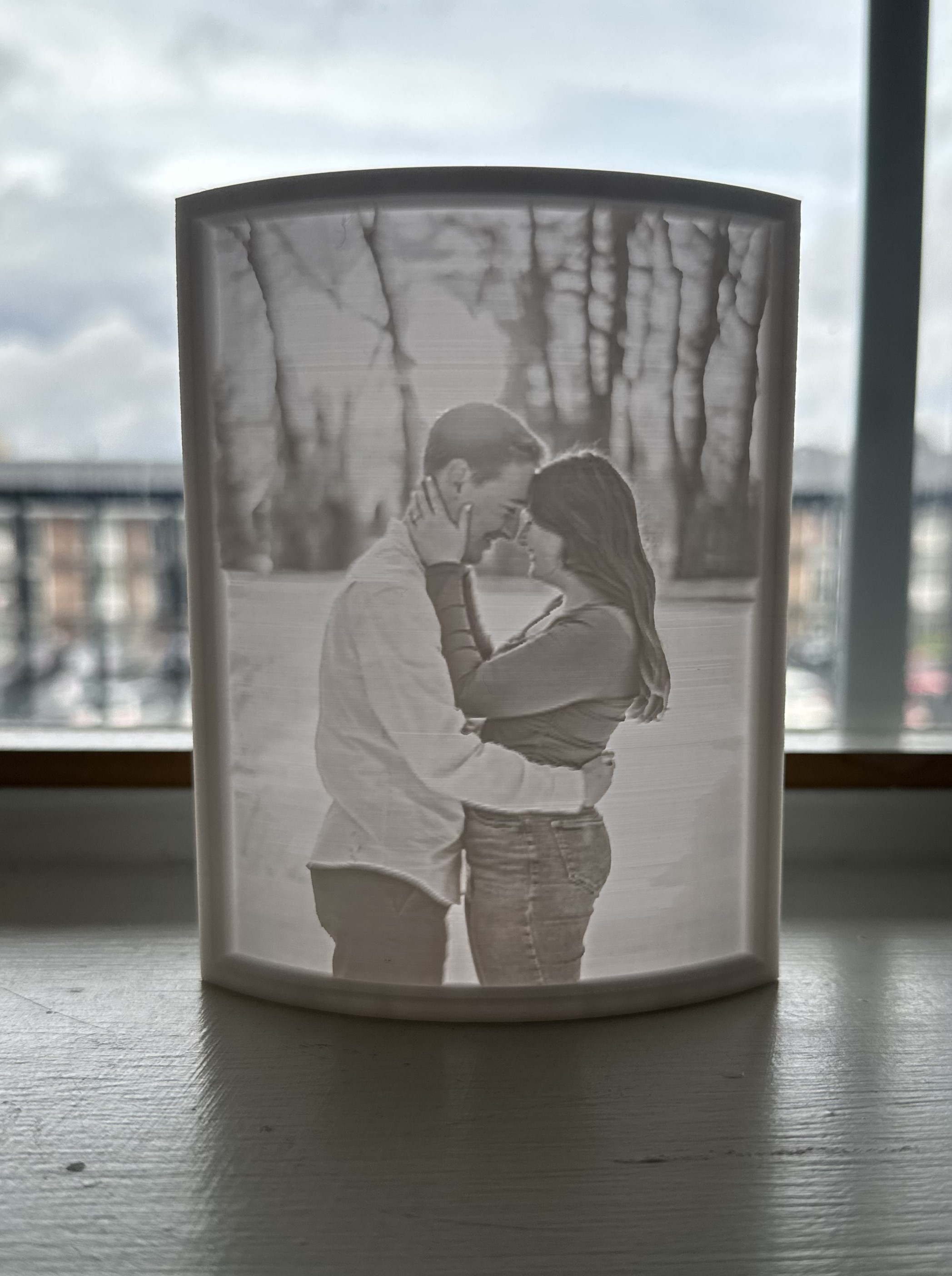 3D Printed Picture 1